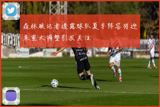 森林狼记者透露球队夏季阵容将迎来重大调整引发关注