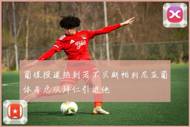 葡媒报道热刺若不买断帕利尼亚葡体考虑从拜仁引进他
